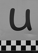 Wall_Art_Alphabet_Photography_Art_ 2242